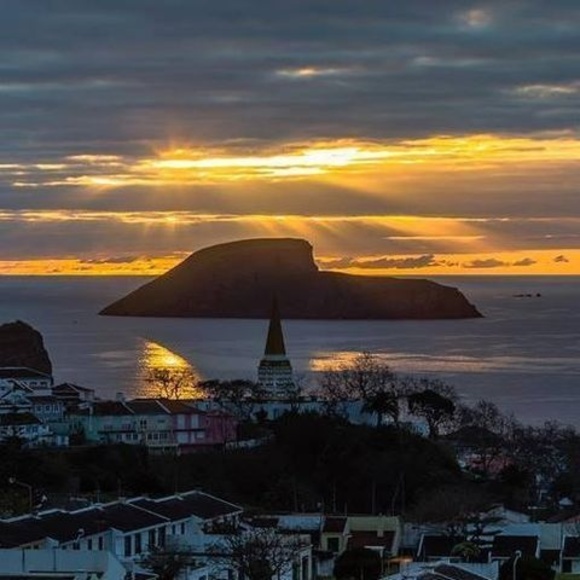 Meet your Posher, Lucy - Picture 1 of 1